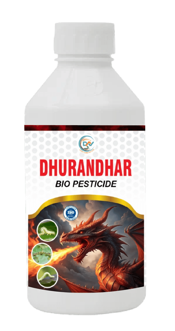 DHURANDHAR