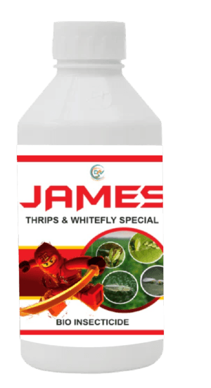 JAMES