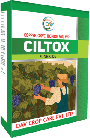 CILTOX