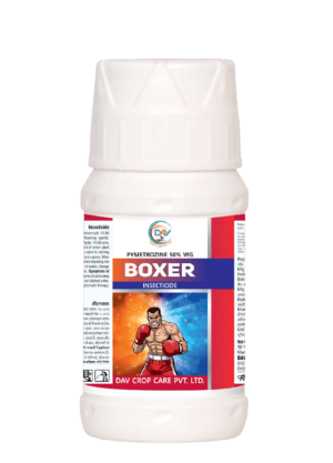 BOXER