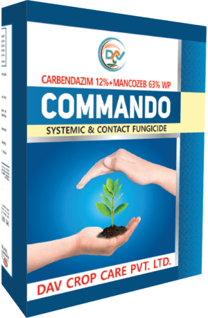 COMMANDO