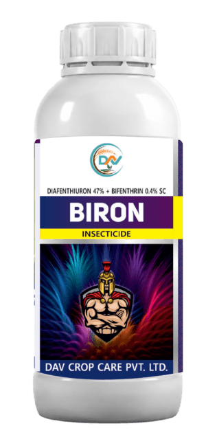 BIRON