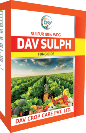 DAV SULPH