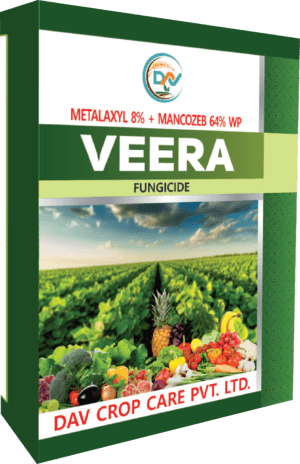 VEERA