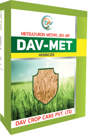 DAV-MET
