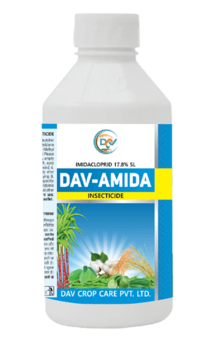 DAV-AMIDA