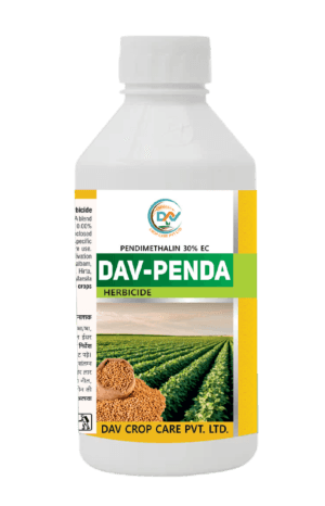 DAV-PENDA