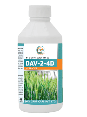 DAV-2-4D