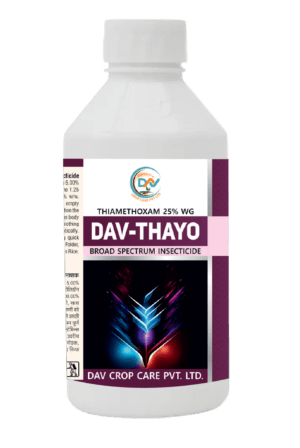 DAV-THAYO