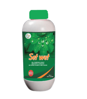 SET WET