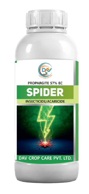 SPIDER