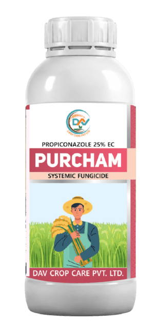PURCHAM