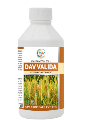 DAV VALIDA