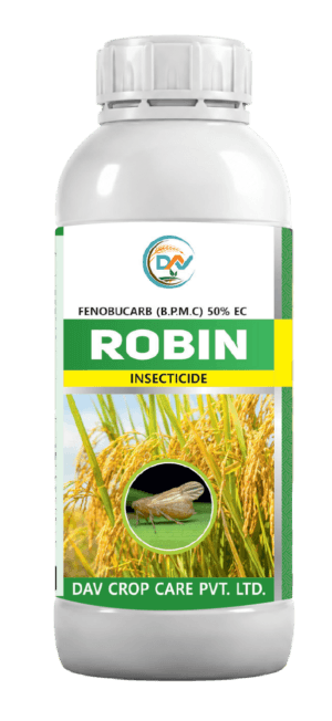 ROBIN