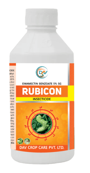 RUBICON