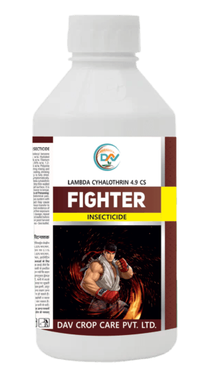 FIGHTER