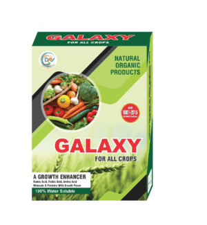 GALAXY