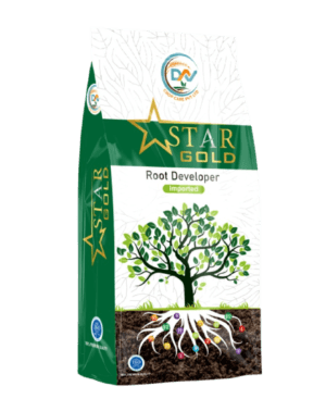 STAR GOLD
