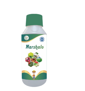 MARSHALO