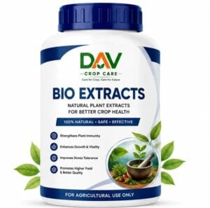 Bio Extracts