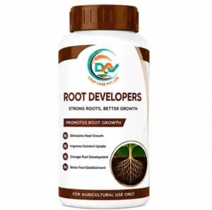 Root Developers