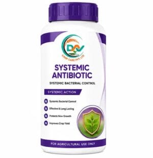 Systemic Antibiotics